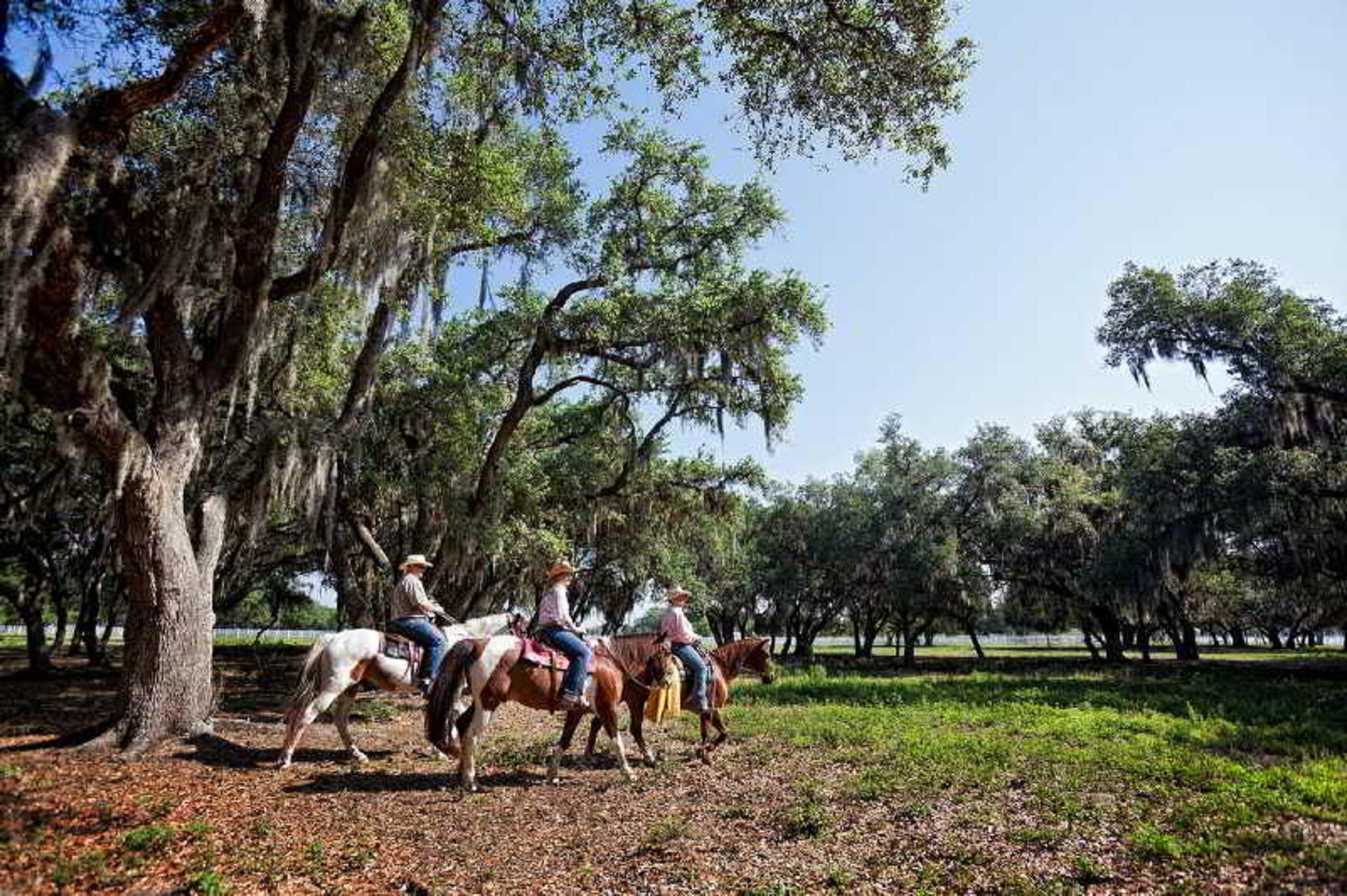 Westgate River Ranch Resort & Rodeo Экстерьер фото